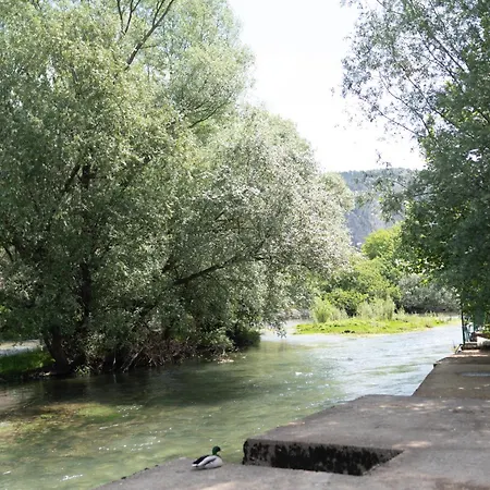Paradise On The River